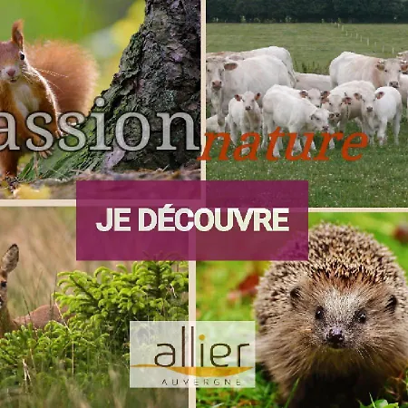 Centre-evasion * Vallon-en-Sully